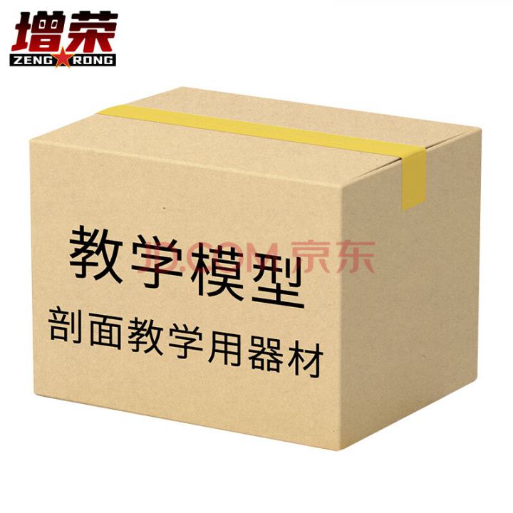 增荣剖面教学用器材编配标准 教学模型
