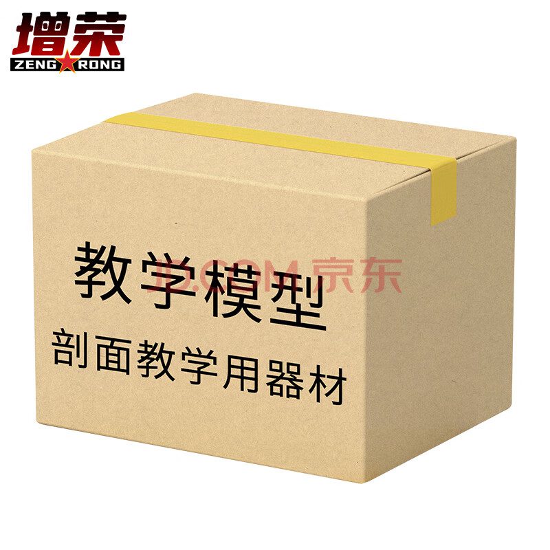 增荣剖面教学用器材编配标准 教学模型